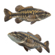 Suwannee Bass Fish - 3DOcean Item for Sale