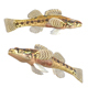 Swamp Darter Fish - 3DOcean Item for Sale