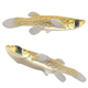 Western Starhead Topminnow Fish - 3DOcean Item for Sale