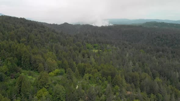 Aerial Dolly Forward of Smoke from Forest Fire