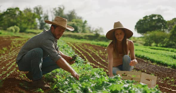 Grow organic! Happy couple farming together