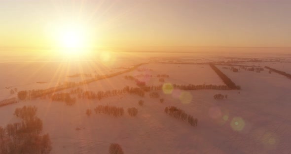 Aerial Drone View of Cold Winter Landscape with Arctic Field Trees Covered with Frost Snow and