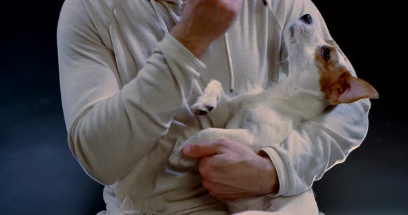 Close-up of a Man's Body in a Light Hoodie with a Dog in His Arms. a Person Tries on Glasses for an