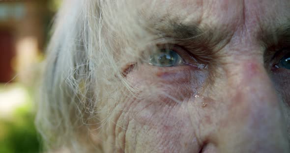 Closeup of the Eyes of an Elderly Old Woman with Gray Hair and a Lot of Wrinkles From Her Eye Which