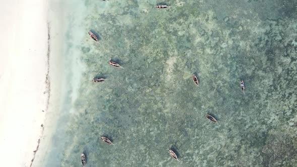 Tanzania Vertical Video  Boat Boats in the Ocean Near the Coast of Zanzibar Aerial View