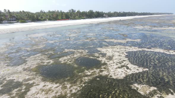 Aerial View of Low Tide in the Ocean Near the Coast of Zanzibar Tanzania