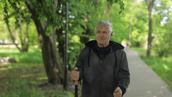 Active Senior Old Man Training Nordic Walking with Ski Trekking Poles in Park