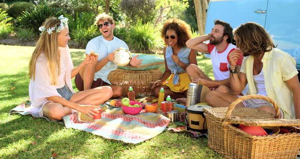 Group of hipster friends laughing and having a picnic