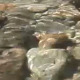 Underwater stones  - VideoHive Item for Sale