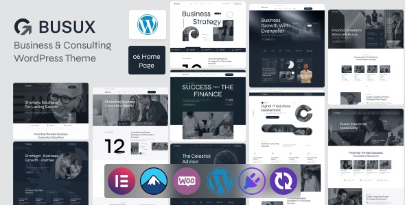 Busux - Business & consulting WordPress Theme