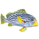 Striped Sweetlips Fish - 3DOcean Item for Sale
