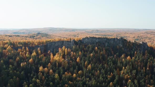 Aerial View of the Hills in the Trees a Colorful Fall