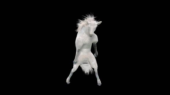 26 White Horse Dancing HD