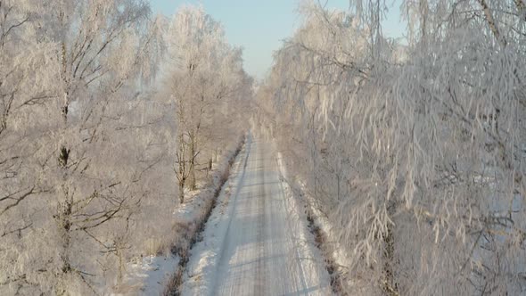 Winter Road