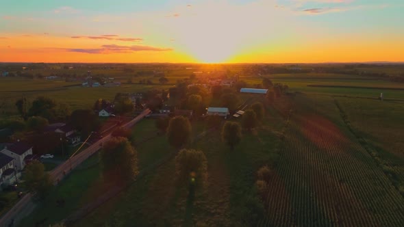 Aerial View of Corn Fields and Fertile Farmlands and Farms at a Golden Hour Sunset