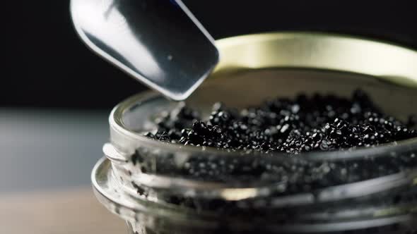 Black Caviar Closeup