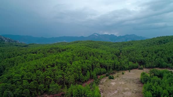 Aerial Forest view in Cloudy Weather