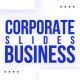 Corporate Business Slides (MoGRT) - VideoHive Item for Sale