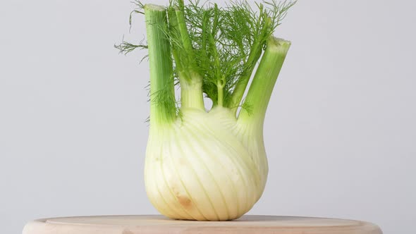 Fennel 02