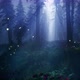 Fireflies in a magical forest 4K - VideoHive Item for Sale