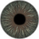 Realistic Iris Texture - 3DOcean Item for Sale
