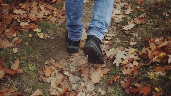 Male tourist in the forest. Young tourist walking by the forest in nature