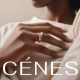 Cenes - Jewelry WordPress Store Theme - ThemeForest Item for Sale