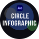Circle Infographics - VideoHive Item for Sale