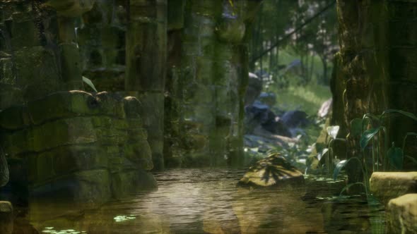 Stone Ruins in a Forest, Abandoned Ancient Castle alt