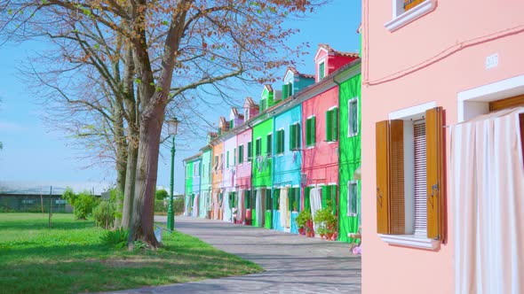 Bright Colorful Houses Stand Near Bare Trees in Burano