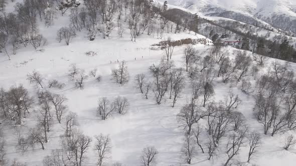 Aerial view of the ski resort with snowy mountain slopes and winter trees. 