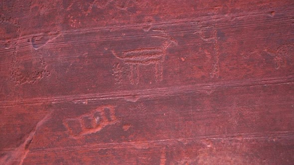 A petroglyph animal was etched on a red sandstone rock wall in the desert of Southern Utah, Pull in