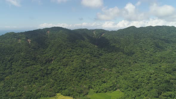 View Mountain Landscape Rainforest