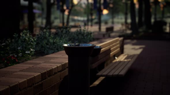 Closeup of a Drinking Water Fountain in a Park on Sunset