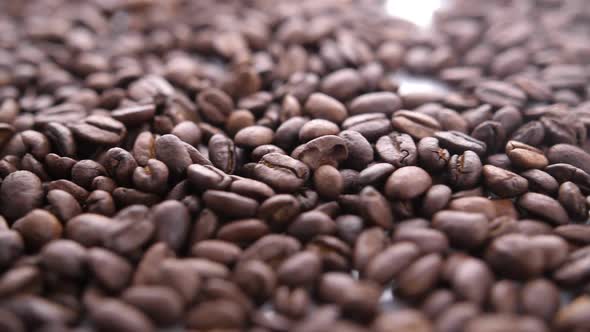 Coffee Beans