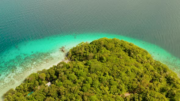 Landscape with Coconut Trees and Turquoise Lagoon