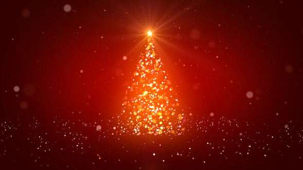 The Christmas Tree 41