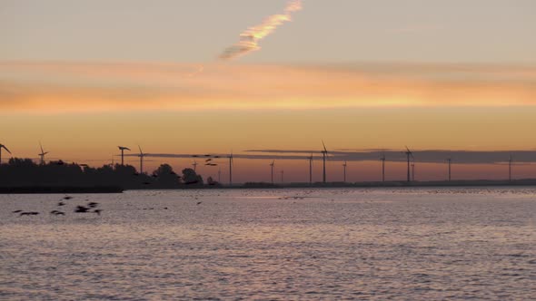 A flock of birds flying over a lake at sunrise. There are trees and windmills in the background. The