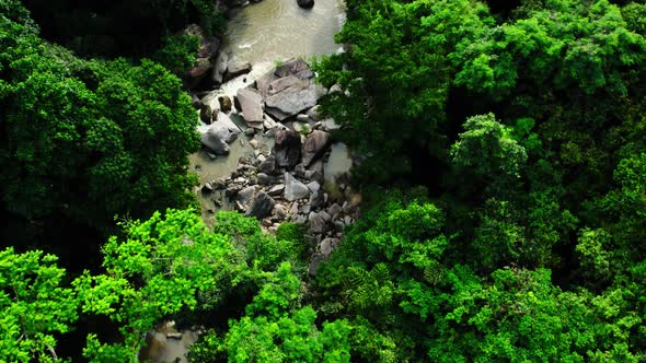 River between dense rainforest in the mountains. Drone view, tilt upwards