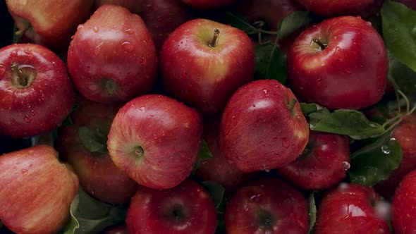 Delicious Red Natural Apples with Water Falling From Above