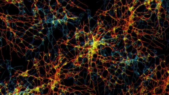 Moving Neural Connections in the Human Brain alt