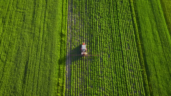 Top View of Tractor Sprays Fertilizer on Agricultural Plants on the Rapeseed Field