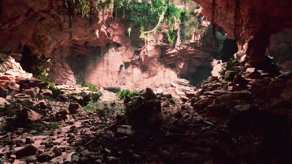 Large Fairy Rocky Cave with Green Plants