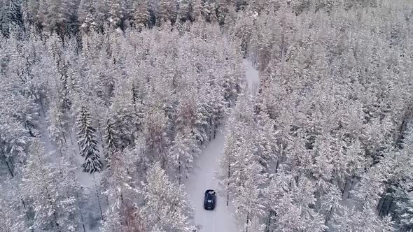 Aerial view of a car driving in the snowy forest in Estonia.