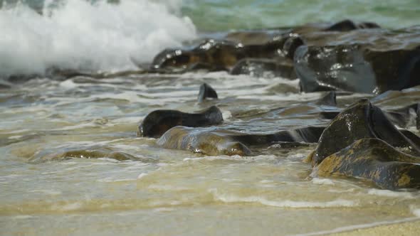 Beautiful low angle shot of a wave breaking on dark rocks, island shoreline