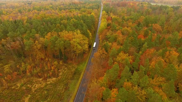 Aerial view of the road through the forest in autumn