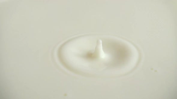 A drop of milk falls into the milky surface. Slow motion.