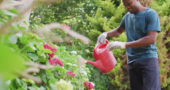 Happy biracial man gardening, watering plants with watering can