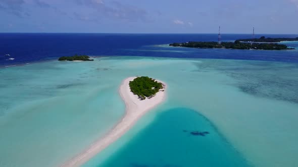 Aerial drone abstract of marine bay beach wildlife by clear ocean and sand background