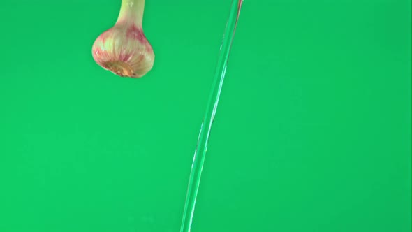 Super Slow Motion Garlic Under a Stream of Water